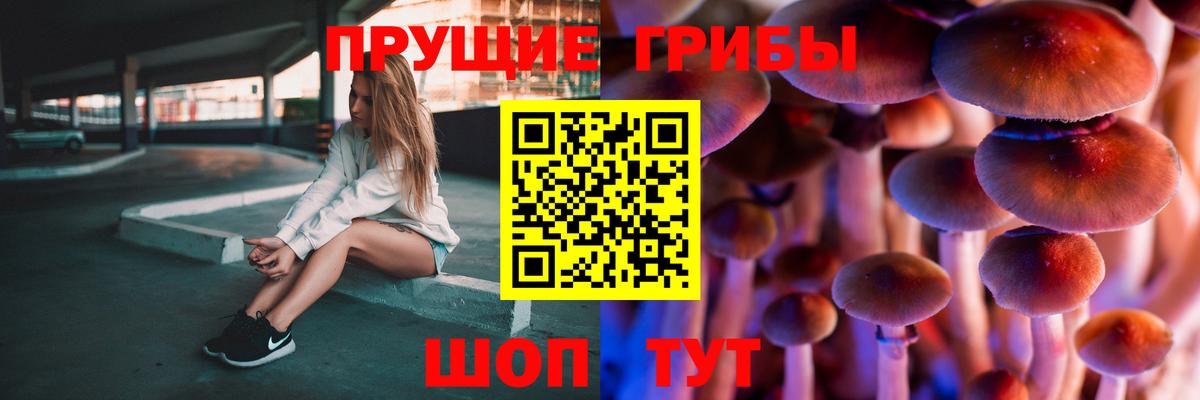 Корсаков  Галлюциногенные грибы Psilocybe  Вход с VPN 